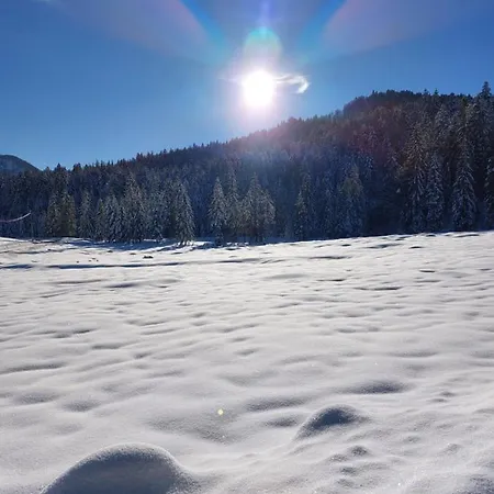 Gospodarstwo agroturystyczne Bichlhof Riedenberg *
