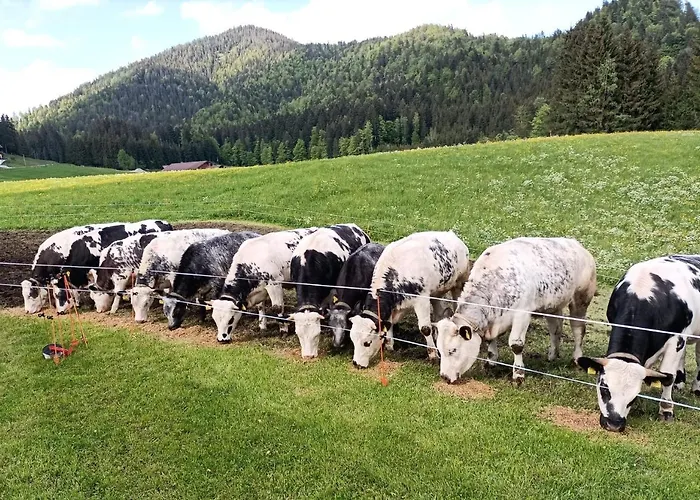 Bichlhof Riedenberg Lantgård
