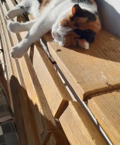 Bichlhof Riedenberg Thiersee