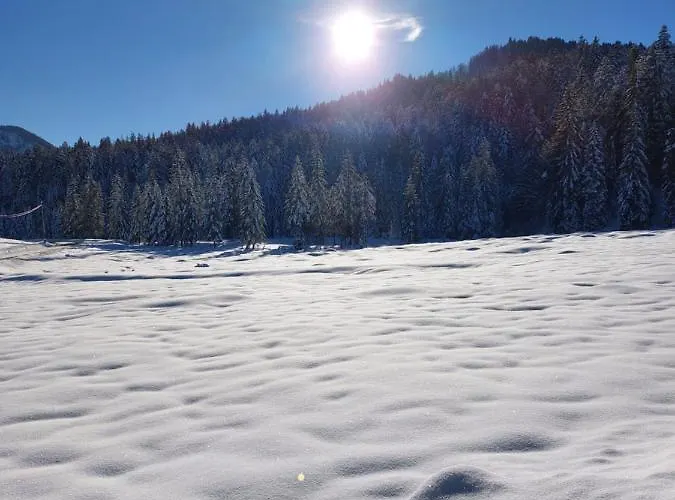 Lantgård Bichlhof Riedenberg *
