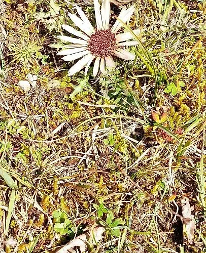 Lantgård Bichlhof Riedenberg *