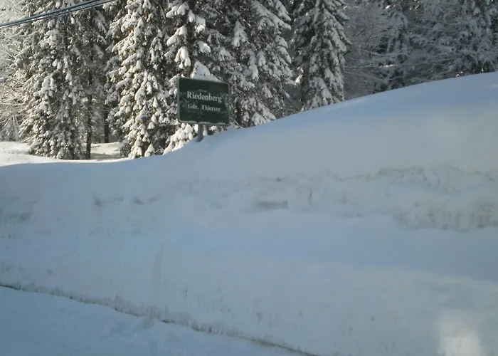 Bichlhof Riedenberg ファームステイ