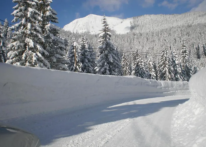 Bichlhof Riedenberg Lantgård Thiersee
