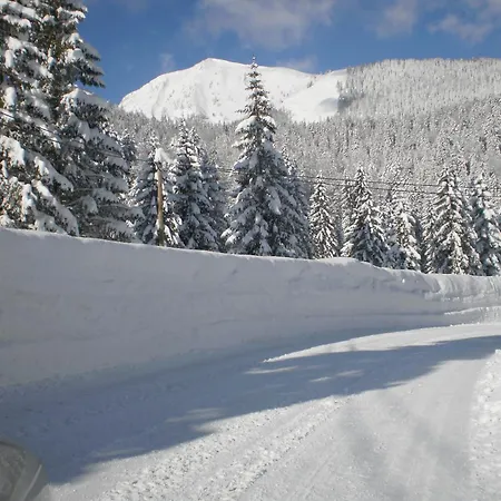 Bichlhof Riedenberg Farma Thiersee