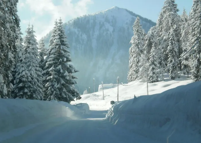 مزرعة للإقامة Bichlhof Riedenberg *