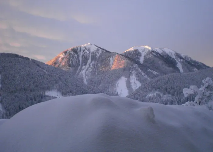 مزرعة للإقامة Bichlhof Riedenberg *